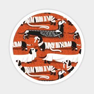 Spooktacular long dachshunds // pattern // orange background mummy ghost and skeleton dogs Magnet